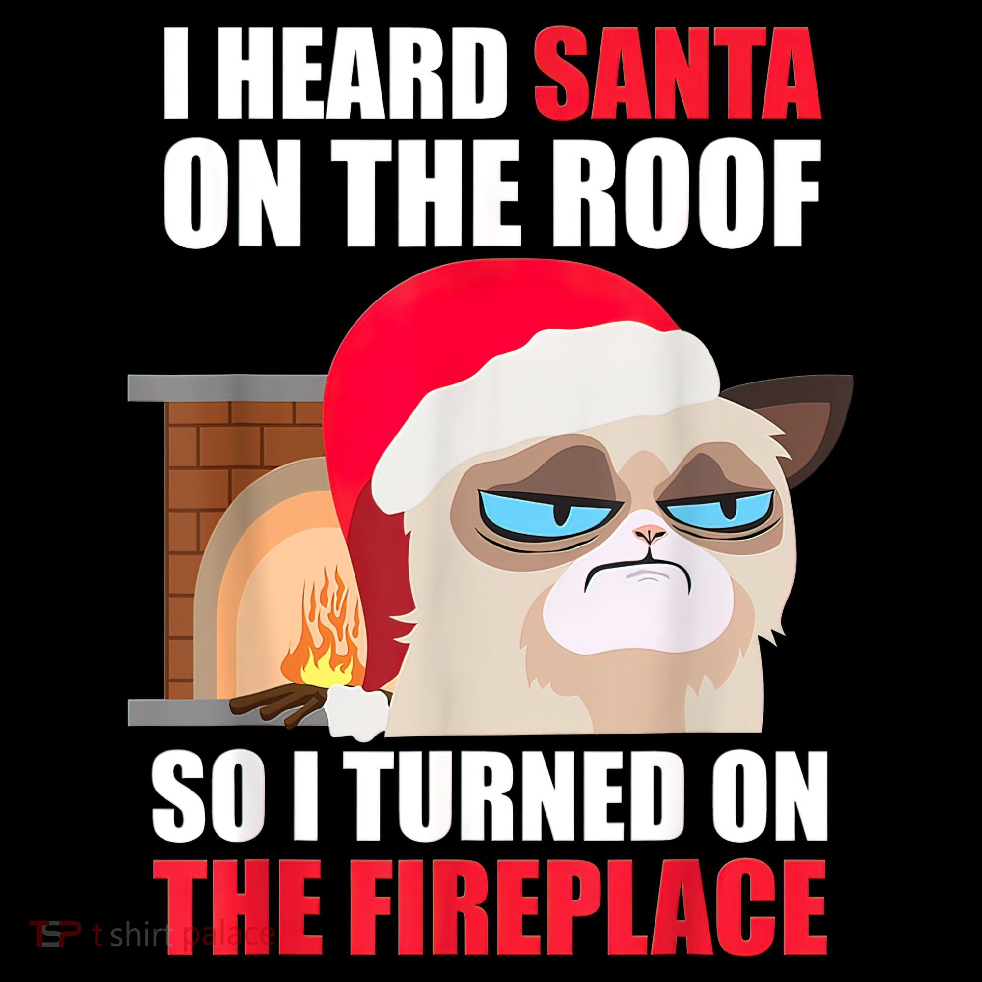 Funny Christmas Cat Hates Santa Grumpy Annoyed Cats Coaster