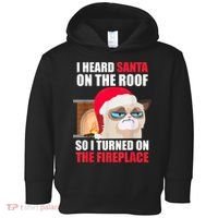 Funny Christmas Cat Hates Santa Grumpy Annoyed Cats Toddler Hoodie thumb 0