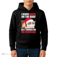 Funny Christmas Cat Hates Santa Grumpy Annoyed Cats Kids Hoodie thumb 4