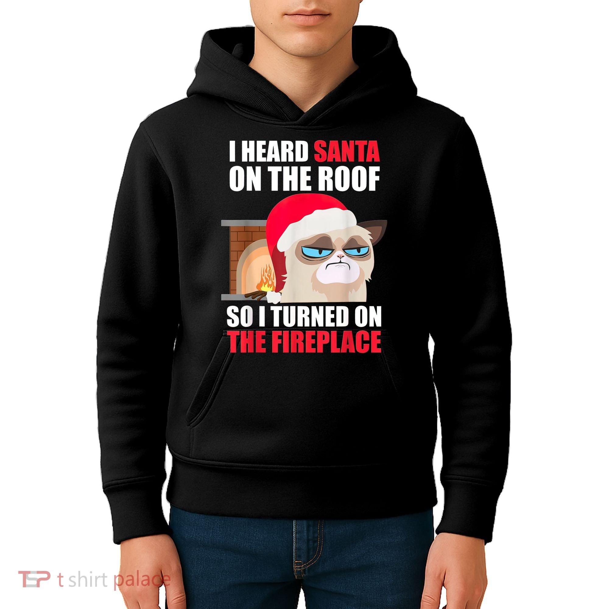 Funny Christmas Cat Hates Santa Grumpy Annoyed Cats Kids Hoodie