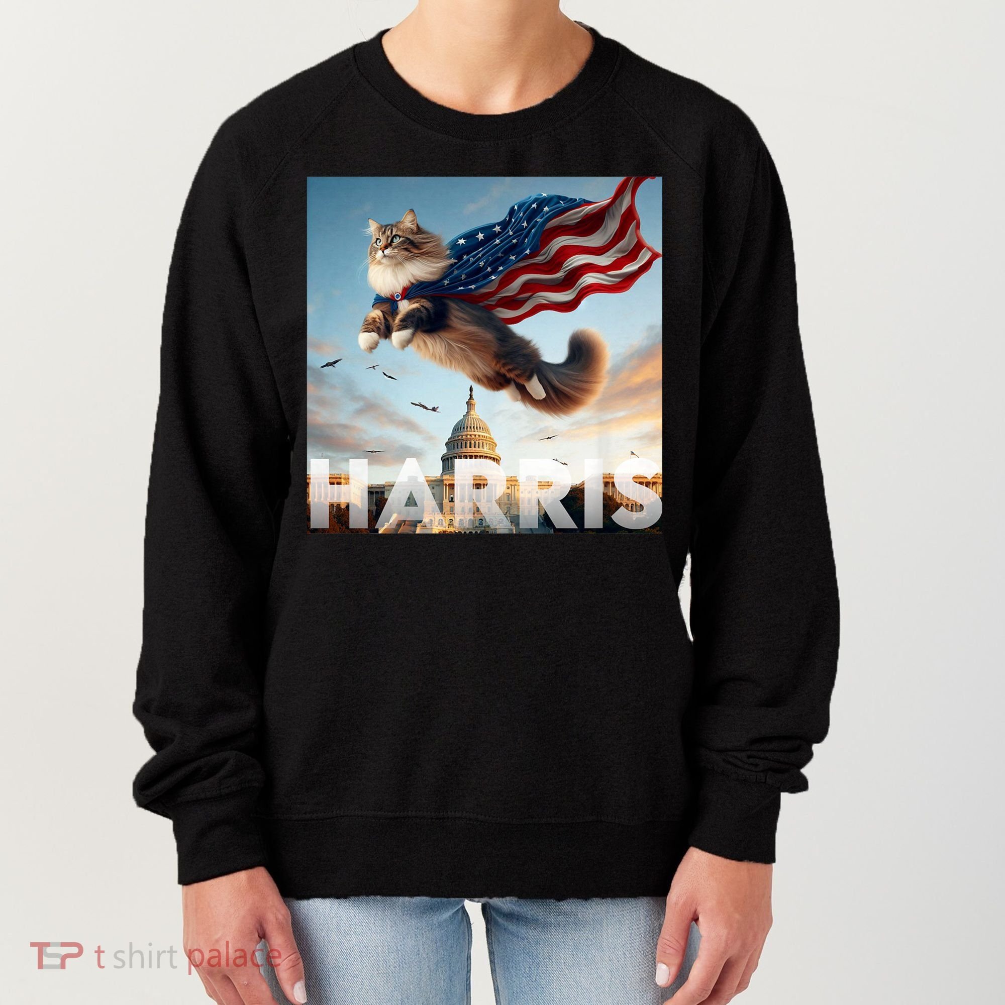 Funny Childless Cat Ladies For Harris 2024 Women's Sweatshirt