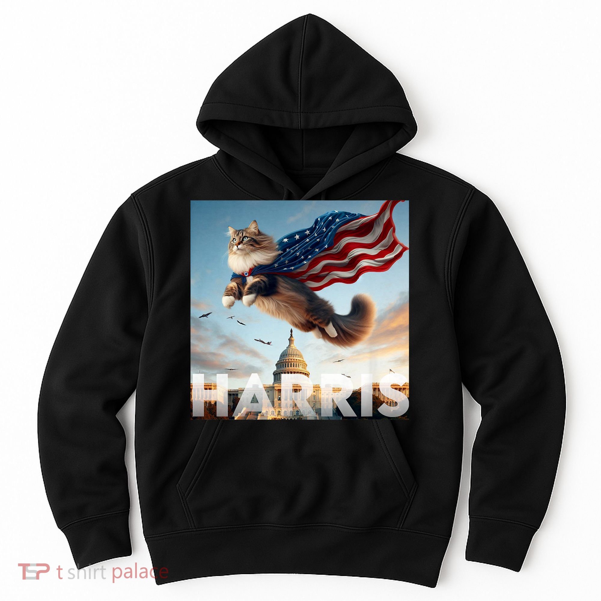 Funny Childless Cat Ladies For Harris 2024 Hoodie