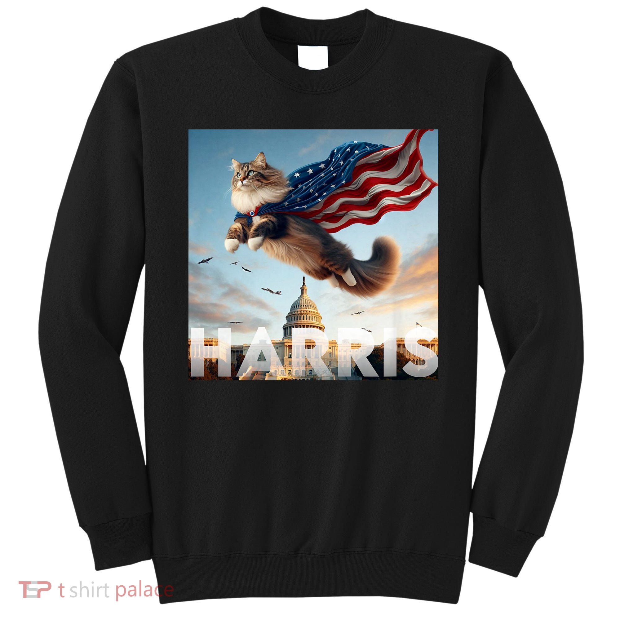 Funny Childless Cat Ladies For Harris 2024 Sweatshirt