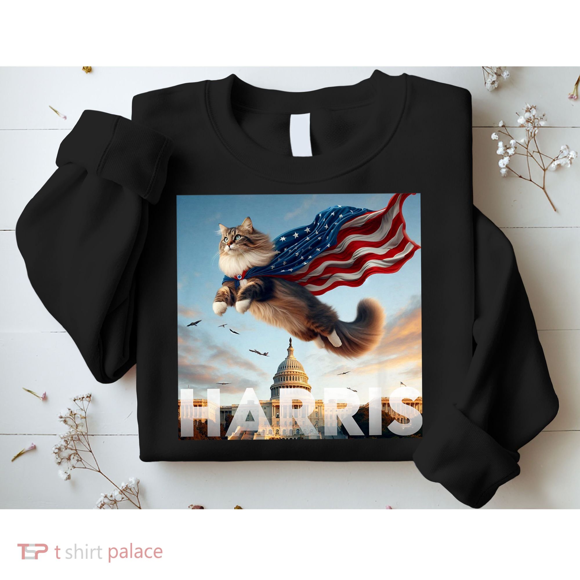 Funny Childless Cat Ladies For Harris 2024 Sweatshirt