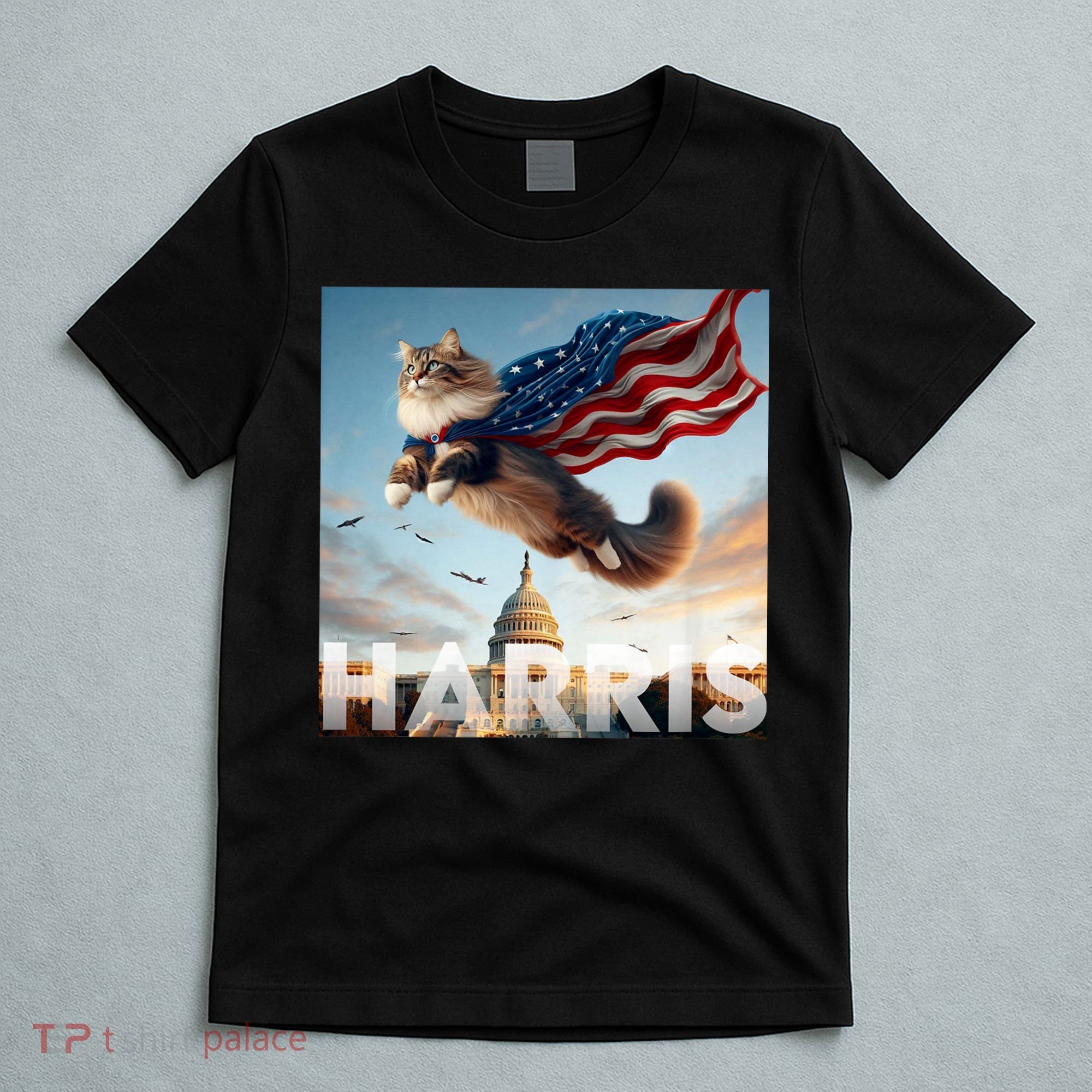 Funny Childless Cat Ladies For Harris 2024 T-Shirt