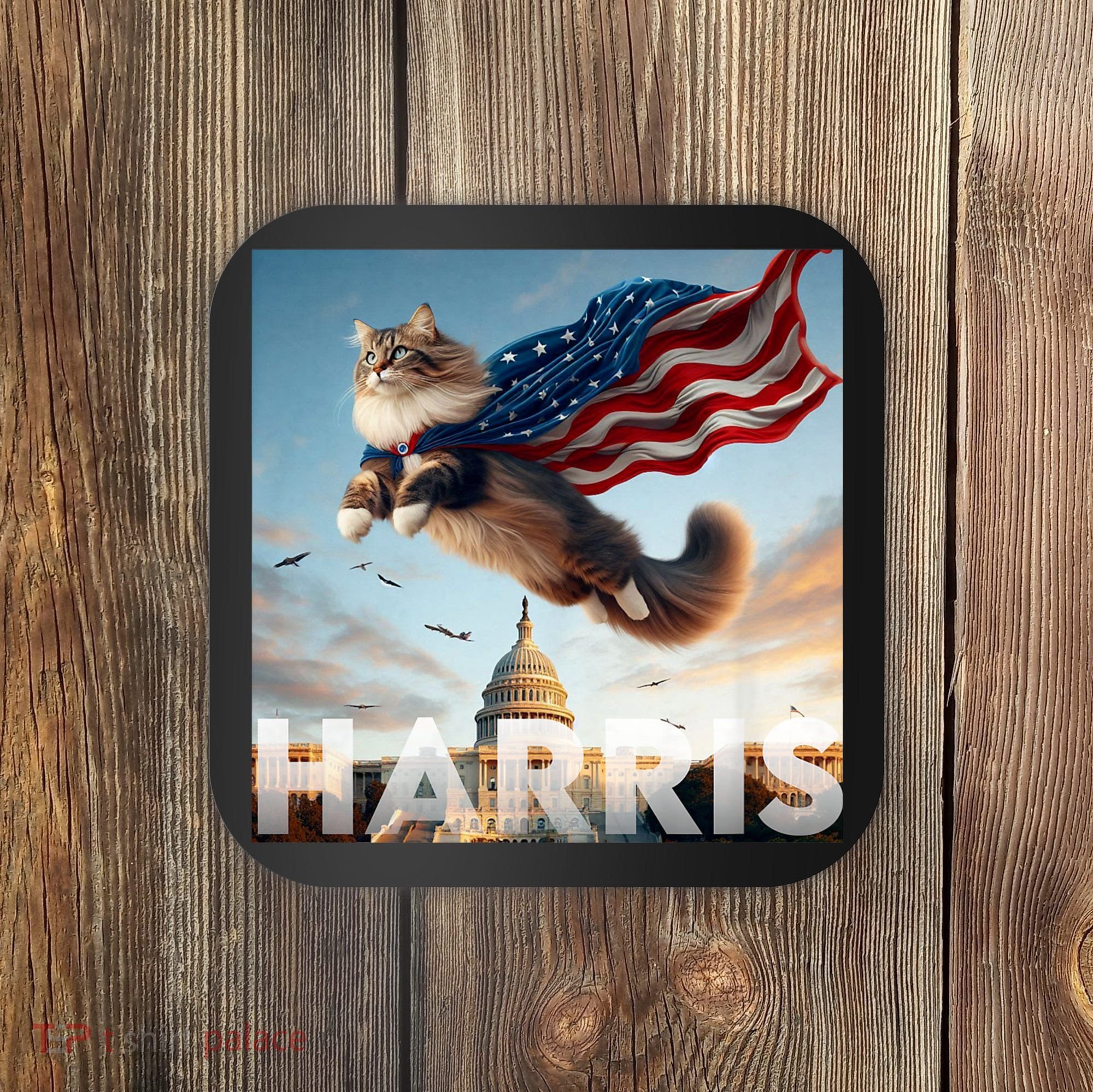 Funny Childless Cat Ladies For Harris 2024 Coaster