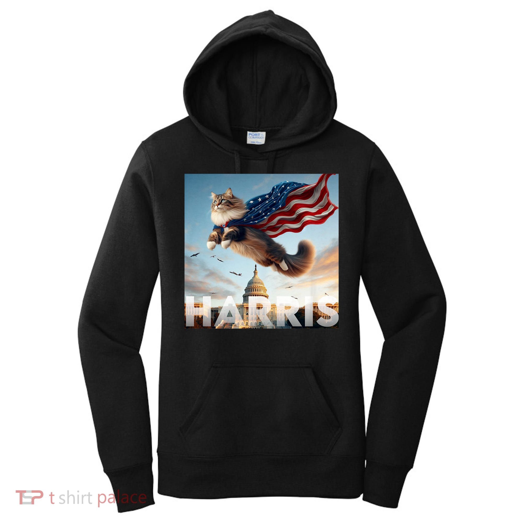 Funny Childless Cat Ladies For Harris 2024 Women's Hoodie