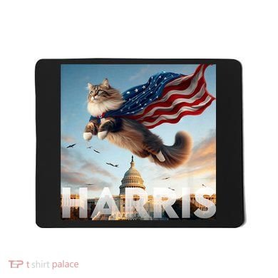 Funny Childless Cat Ladies For Harris 2024 Mousepad