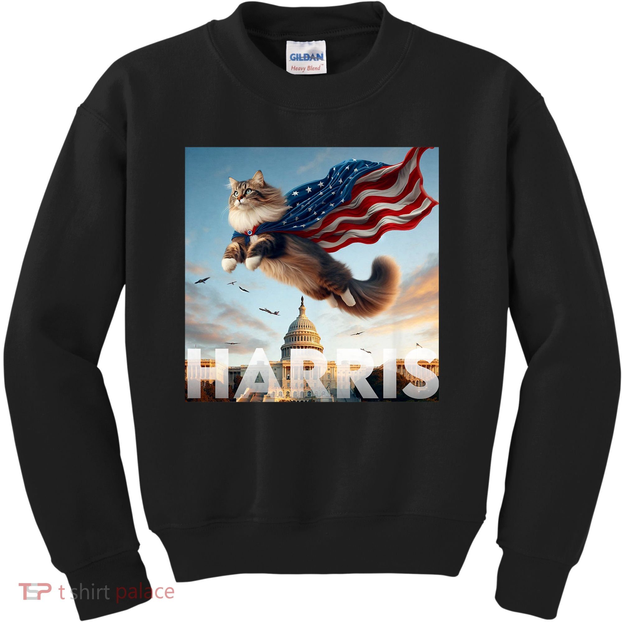 Funny Childless Cat Ladies For Harris 2024 Kids Sweatshirt