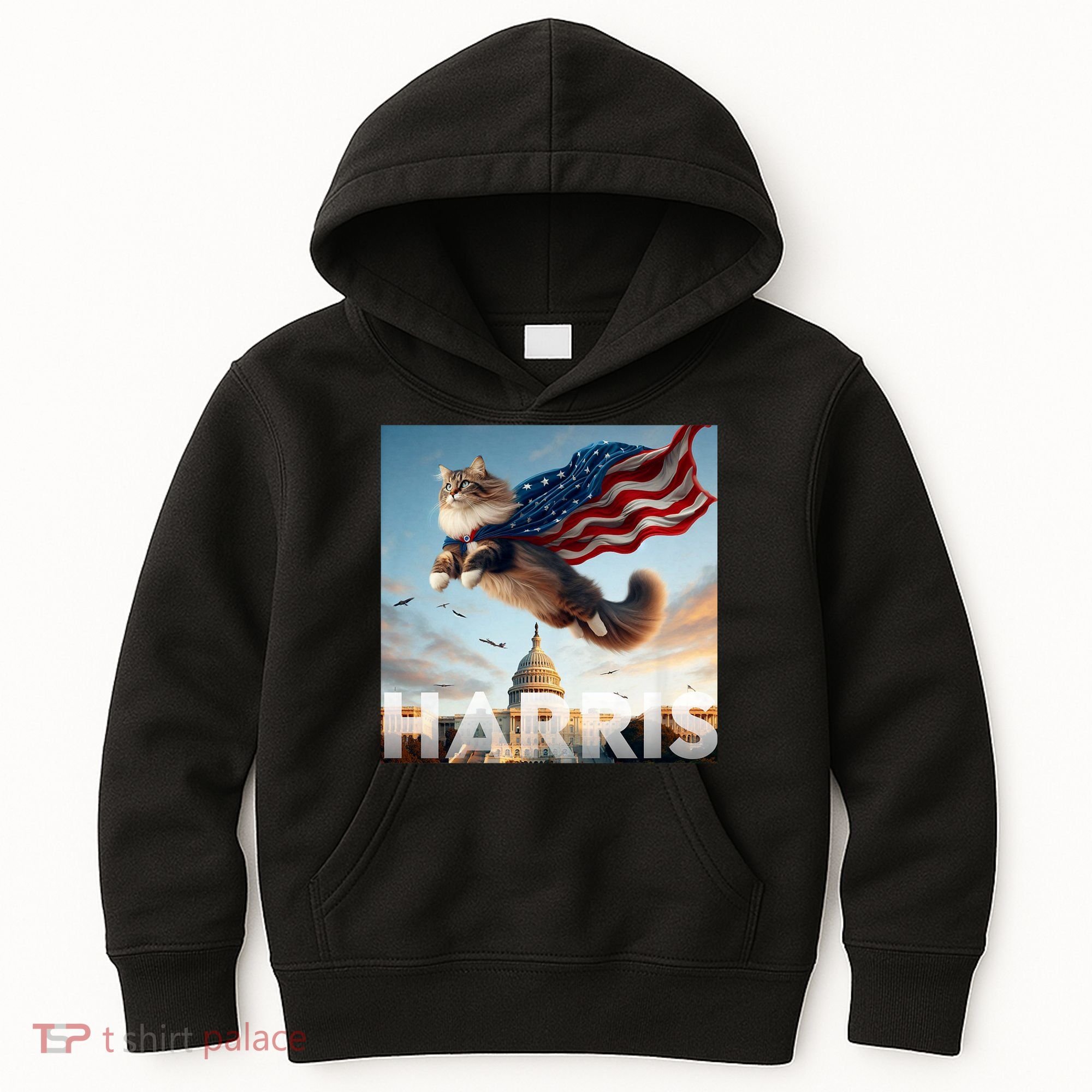 Funny Childless Cat Ladies For Harris 2024 Kids Hoodie