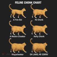 Feline Chonk Cat Chart Funny Dank Meme Oh Lawd He Comin Women's Sweatshirt thumb 2