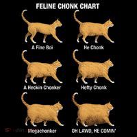 Feline Chonk Cat Chart Funny Dank Meme Oh Lawd He Comin Coaster thumb 2