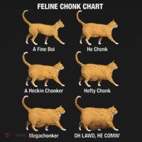 Feline Chonk Cat Chart Funny Dank Meme Oh Lawd He Comin Pajama Set thumb 2