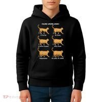 Feline Chonk Cat Chart Funny Dank Meme Oh Lawd He Comin Kids Hoodie thumb 4