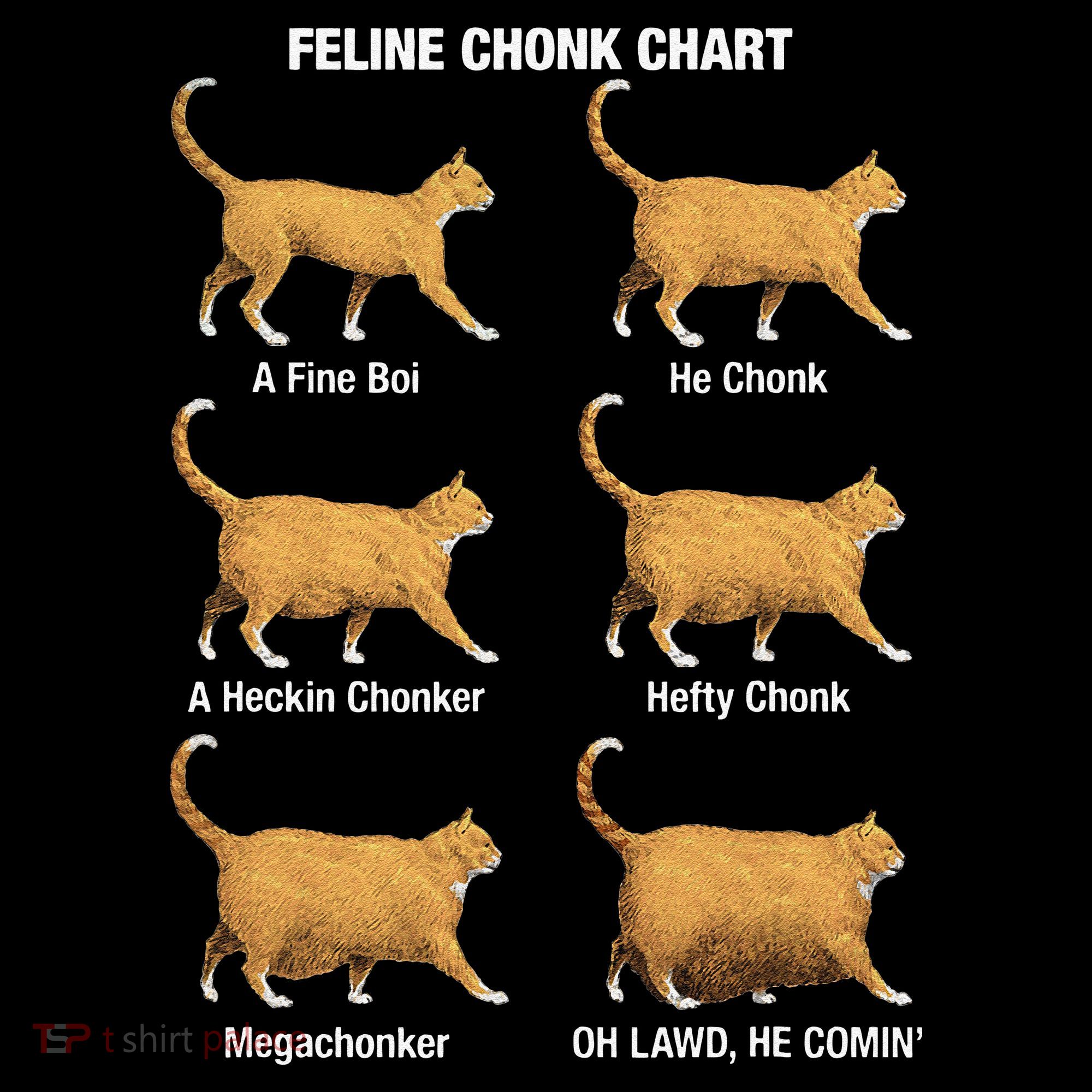 Feline Chonk Cat Chart Funny Dank Meme Oh Lawd He Comin Kids Long Sleeve Shirt