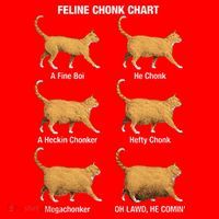 Feline Chonk Cat Chart Funny Dank Meme Oh Lawd He Comin Santa Hat thumb 1