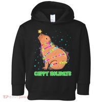 Funny Cute Christmas Cappy Holidays Capybara Toddler Hoodie thumb 0