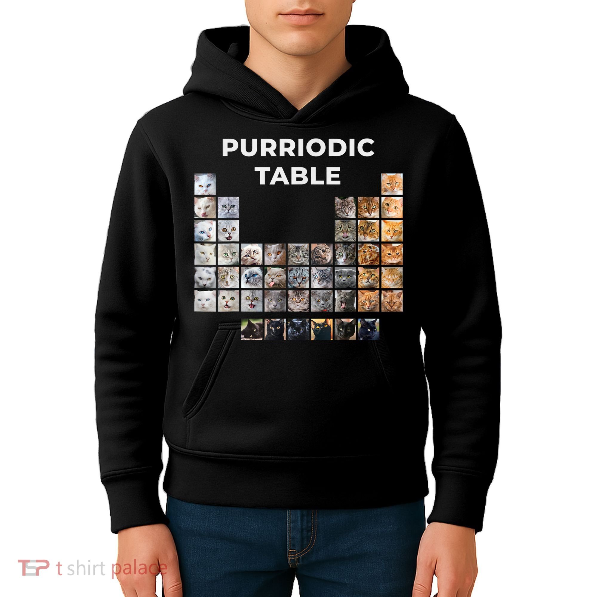 Funny Cat Chemistry Pun Periodic Table Kids Hoodie