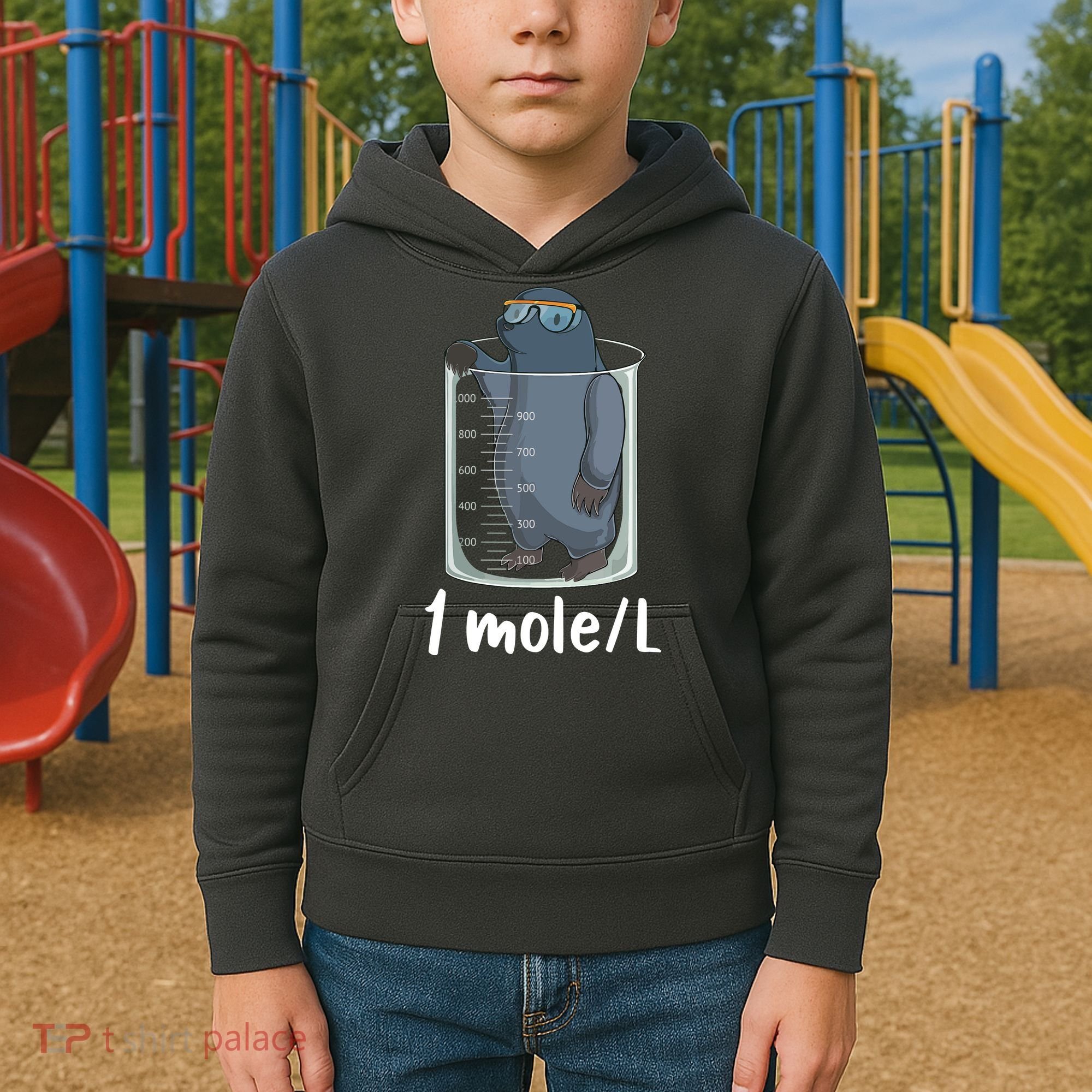 Funny Chemistry Chemist Student Science Teacher Moles Women Kids Hoodie