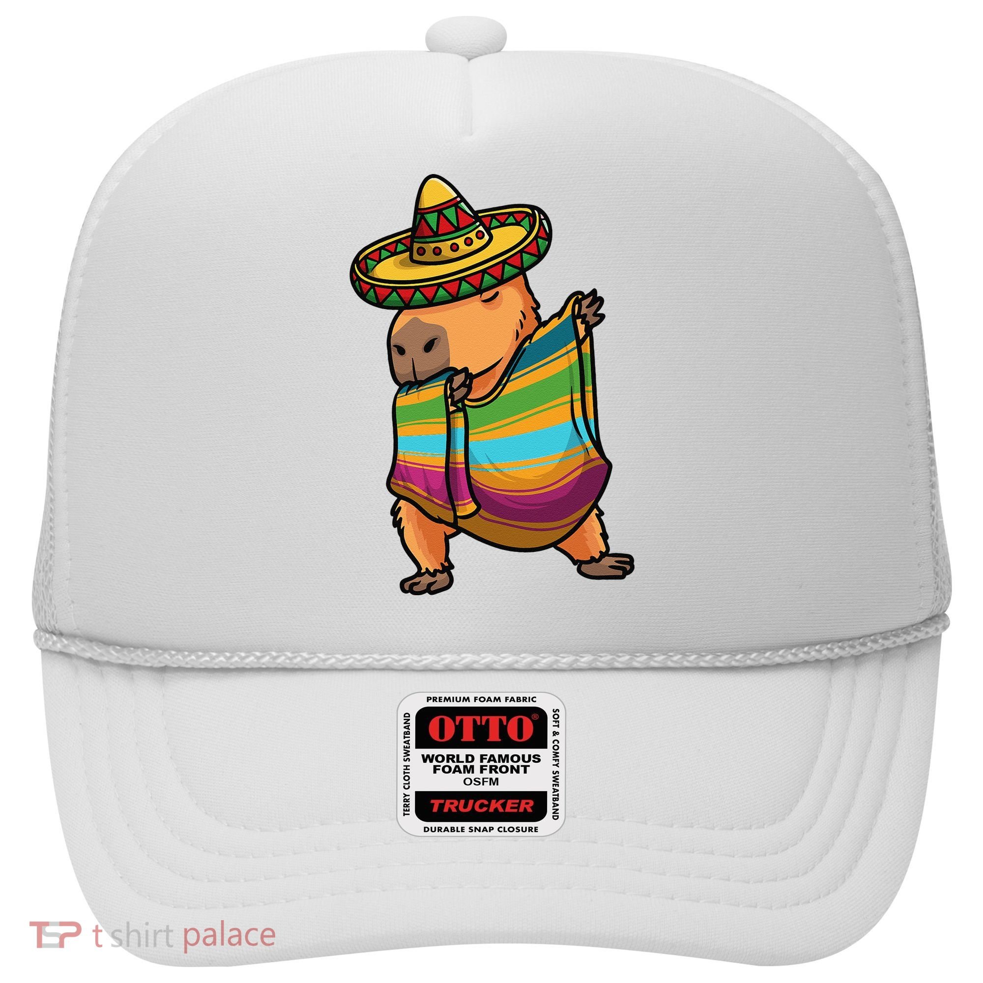 Funny Capybara Cinco De Mayo Rodent Dab Mexican Gift Hat