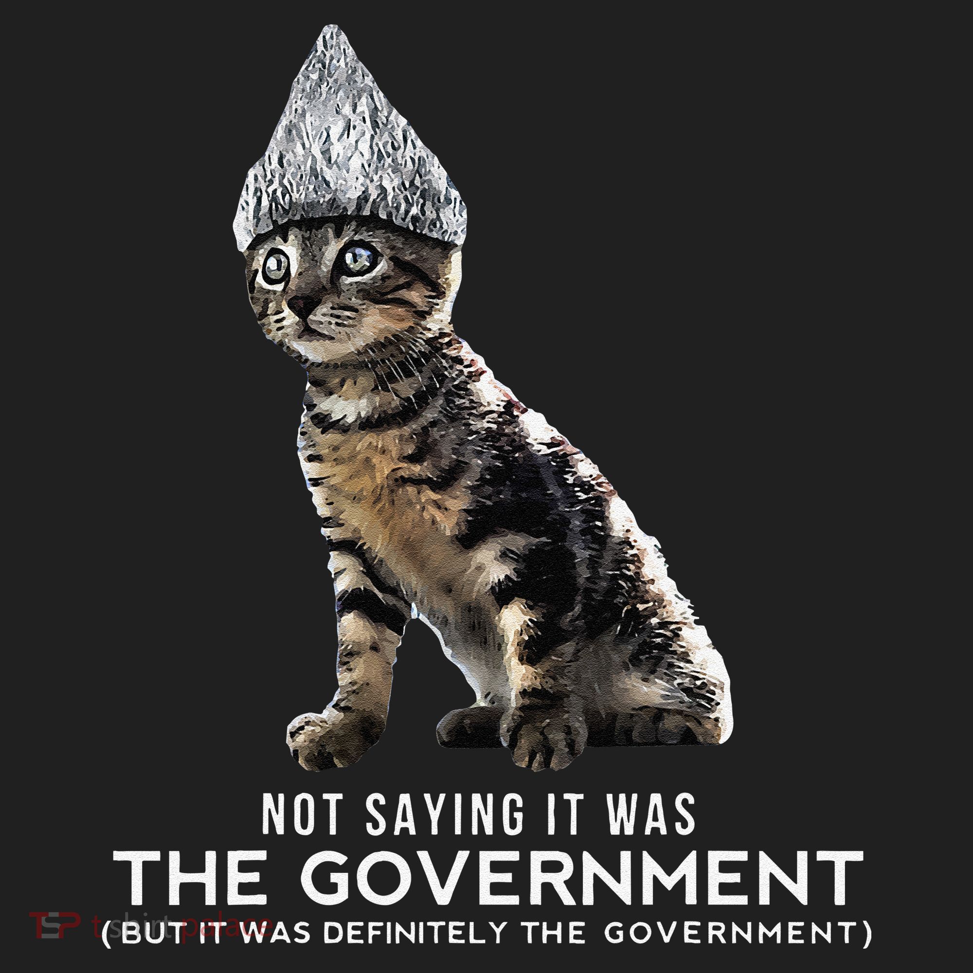 Funny Conspiracy Cat Tin Foil Hat Government Gift Women's Sweatshirt