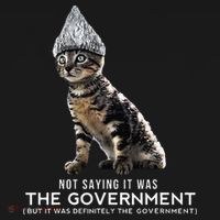 Funny Conspiracy Cat Tin Foil Hat Government Gift Tank Top thumb 6