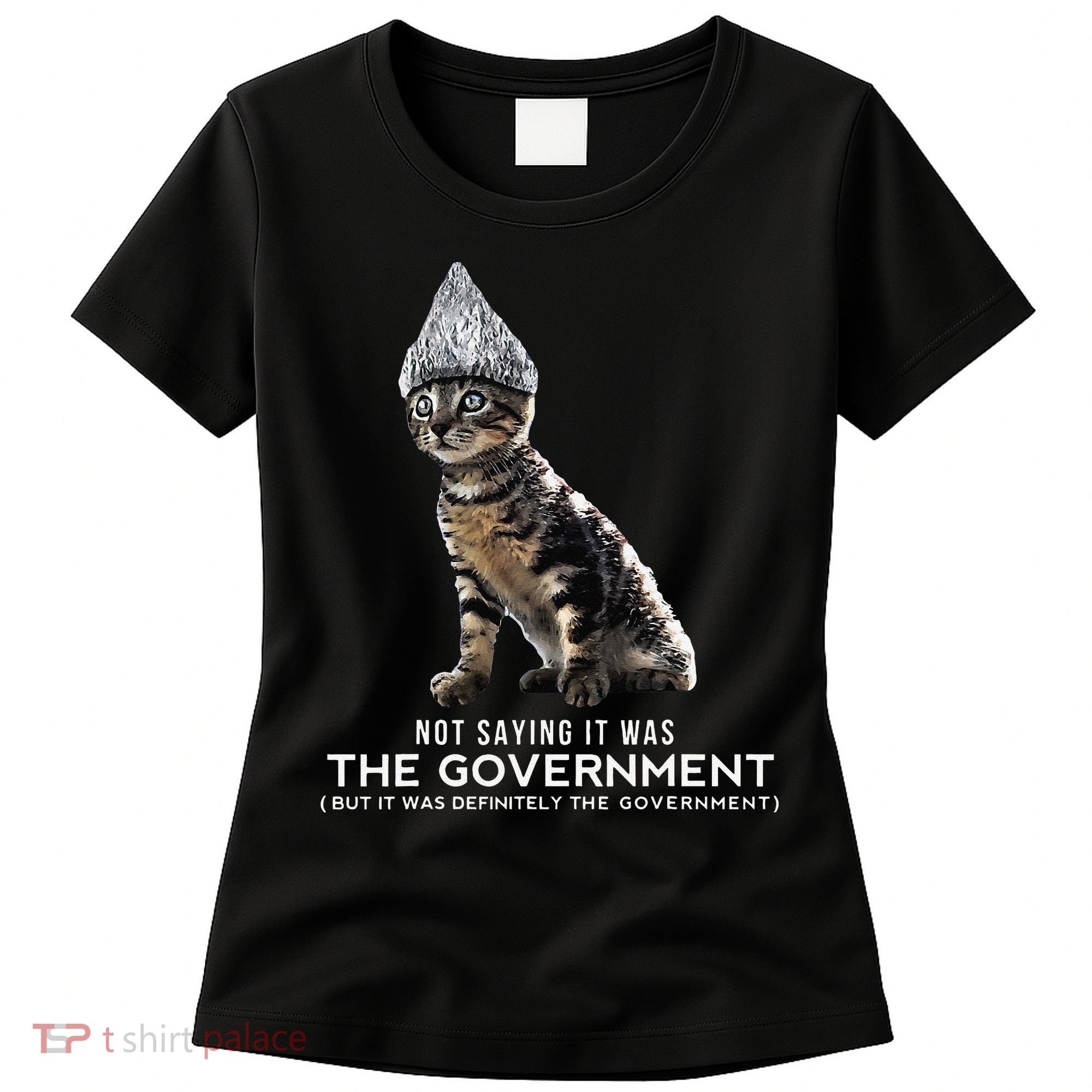 Funny Conspiracy Cat Tin Foil Hat Government Gift Women's T-Shirt