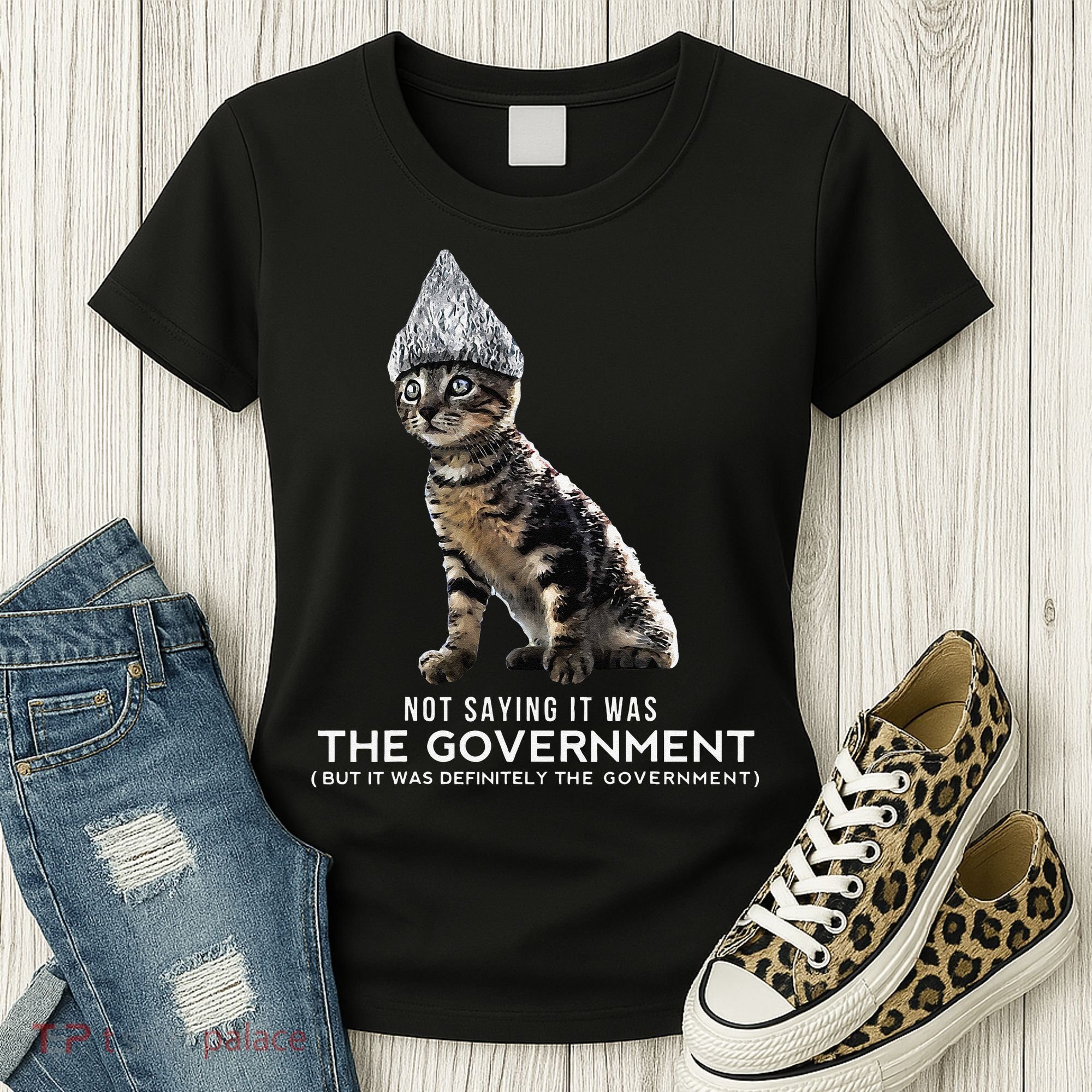 Funny Conspiracy Cat Tin Foil Hat Government Gift Women's T-Shirt