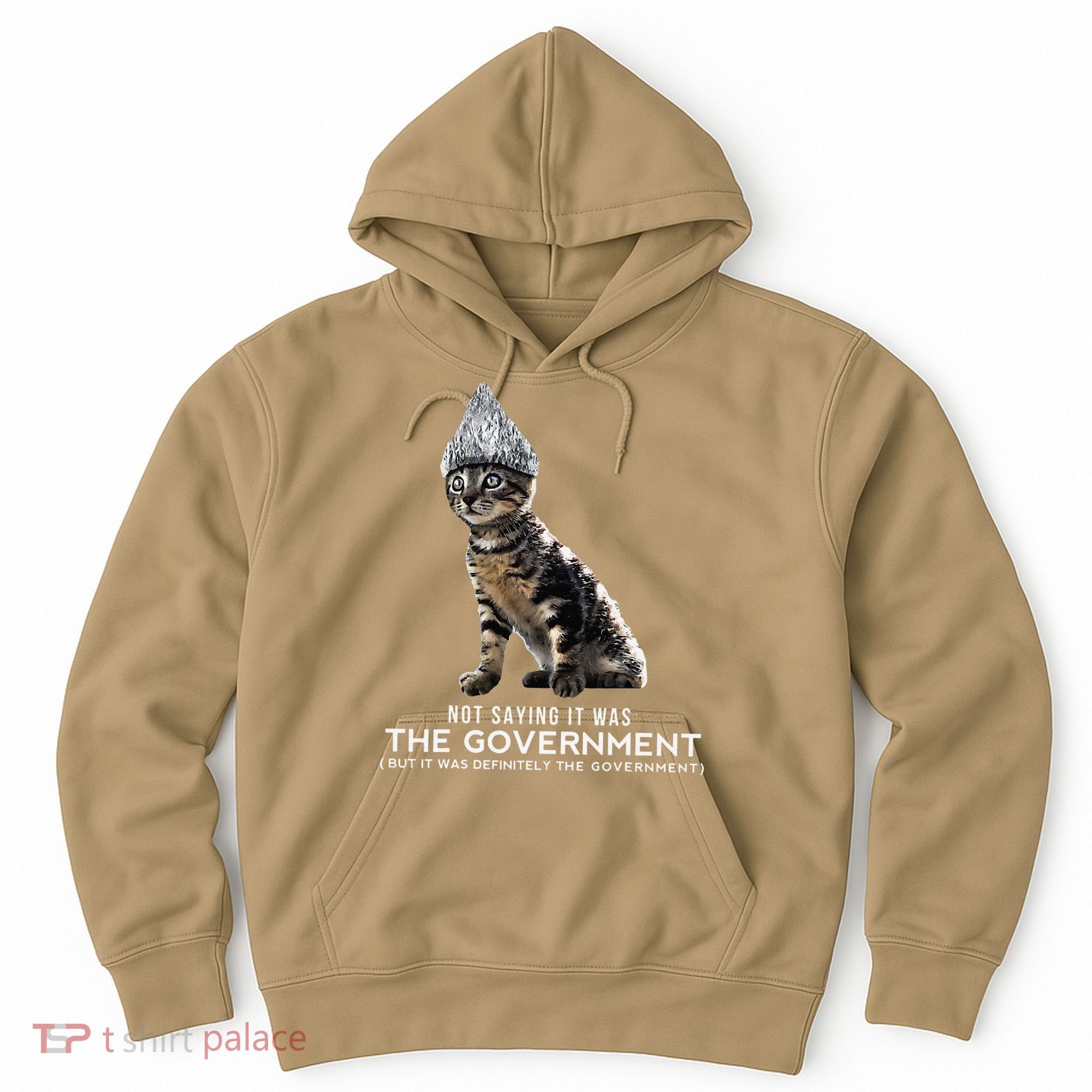 Funny Conspiracy Cat Tin Foil Hat Government Gift Hoodie