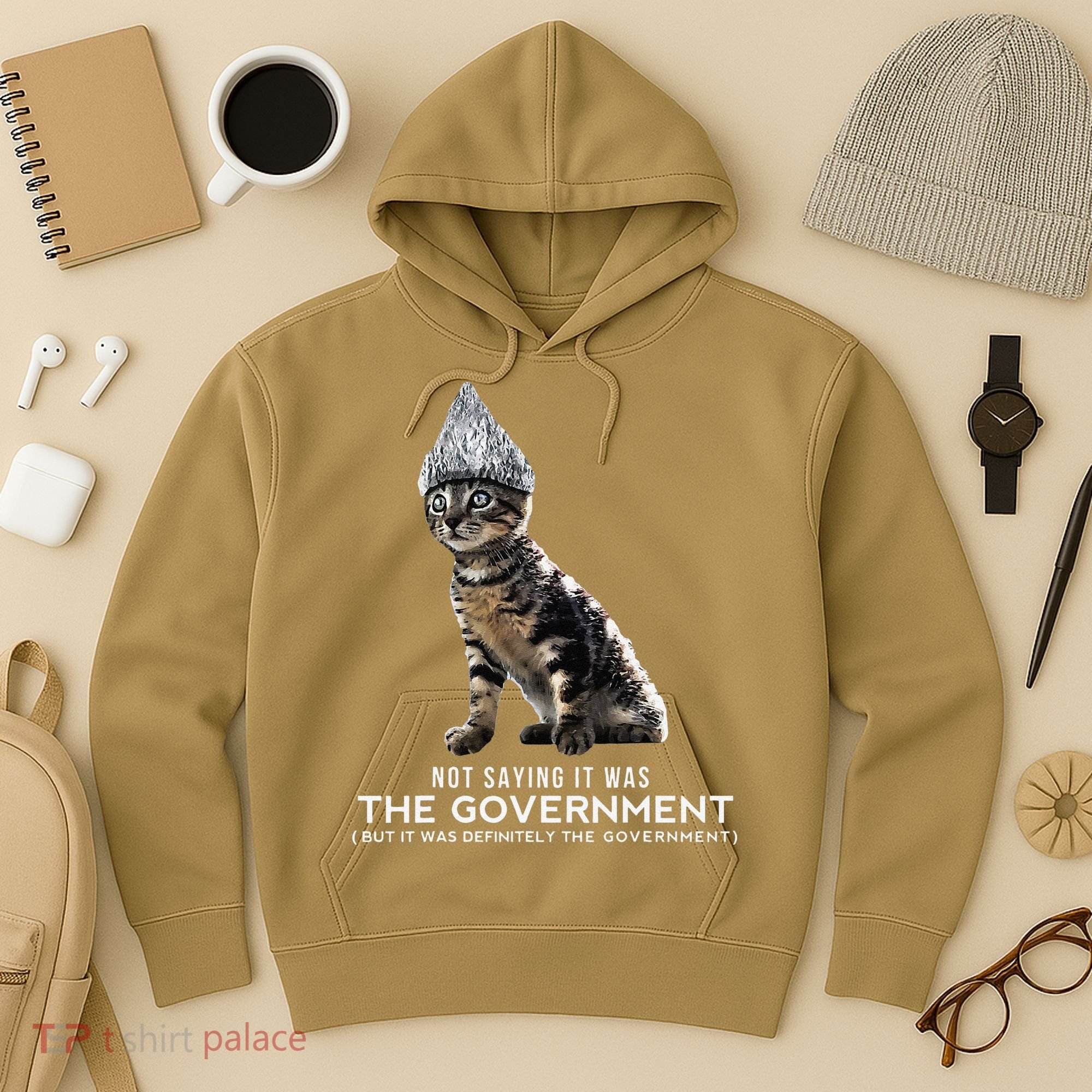 Funny Conspiracy Cat Tin Foil Hat Government Gift Hoodie