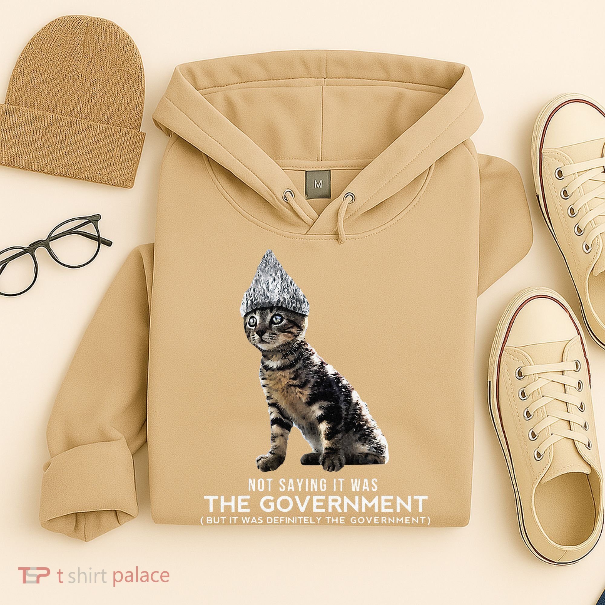 Funny Conspiracy Cat Tin Foil Hat Government Gift Hoodie