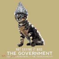 Funny Conspiracy Cat Tin Foil Hat Government Gift Long Sleeve Shirt thumb 2