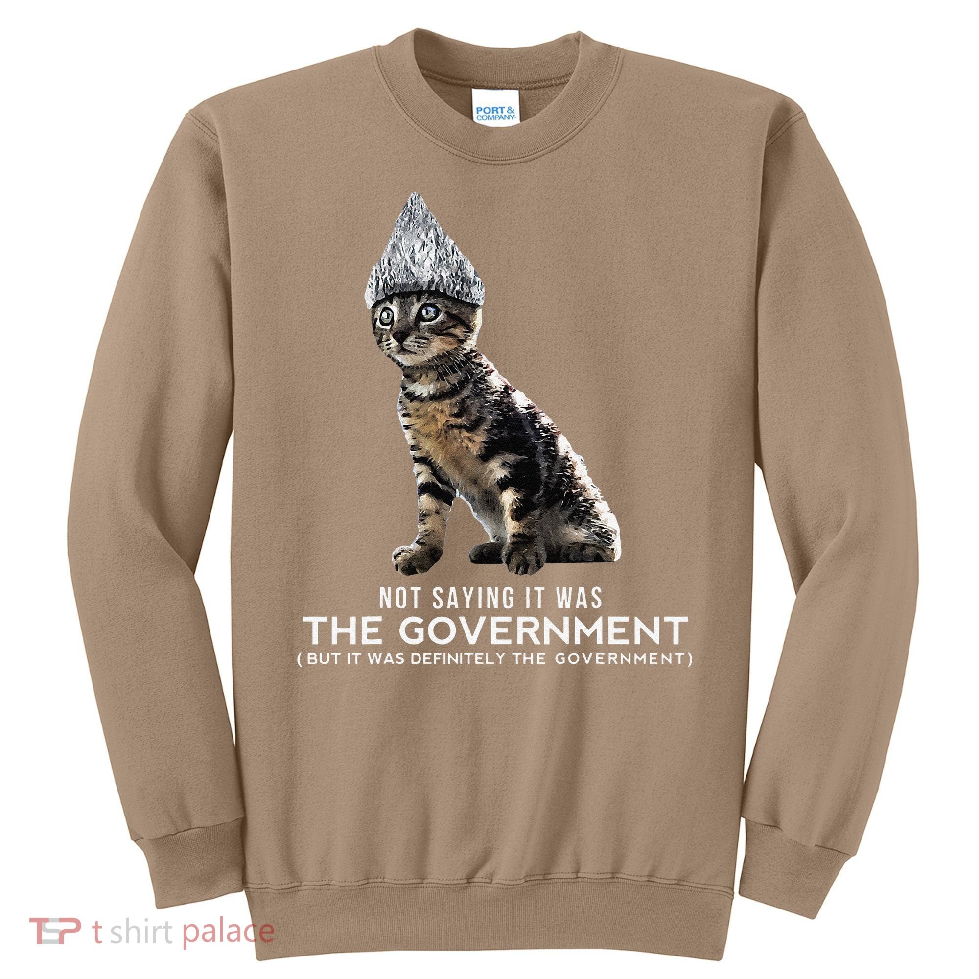 Funny Conspiracy Cat Tin Foil Hat Government Gift Sweatshirt