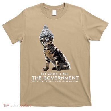 Funny Conspiracy Cat Tin Foil Hat Government Gift T-Shirt