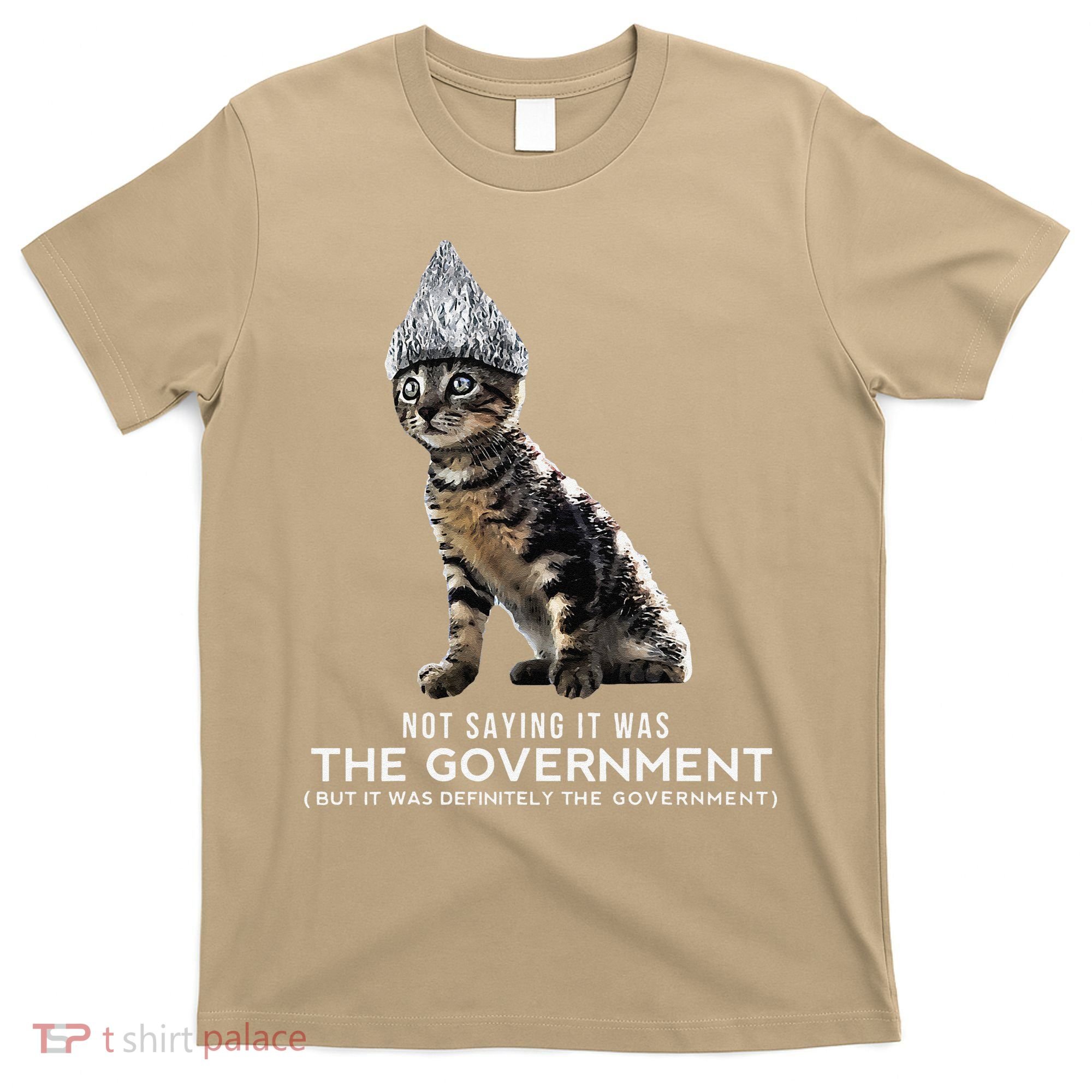 Funny Conspiracy Cat Tin Foil Hat Government Gift T-Shirt