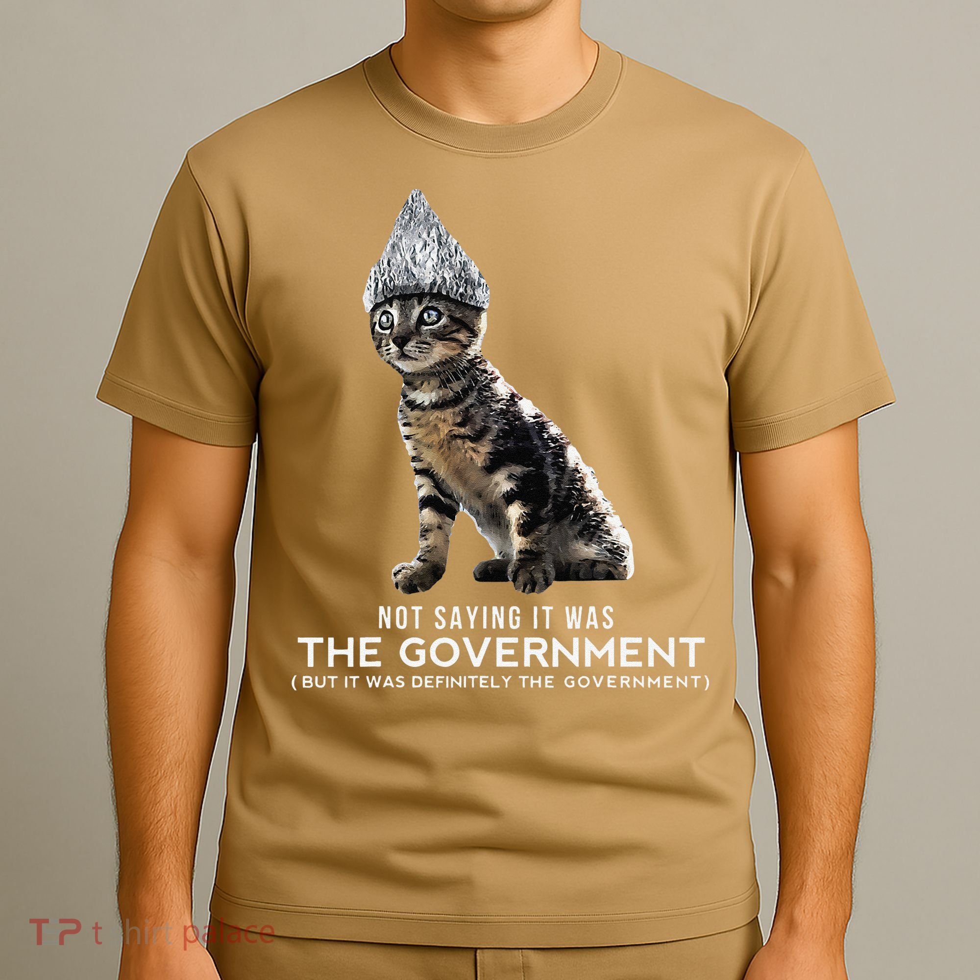 Funny Conspiracy Cat Tin Foil Hat Government Gift T-Shirt