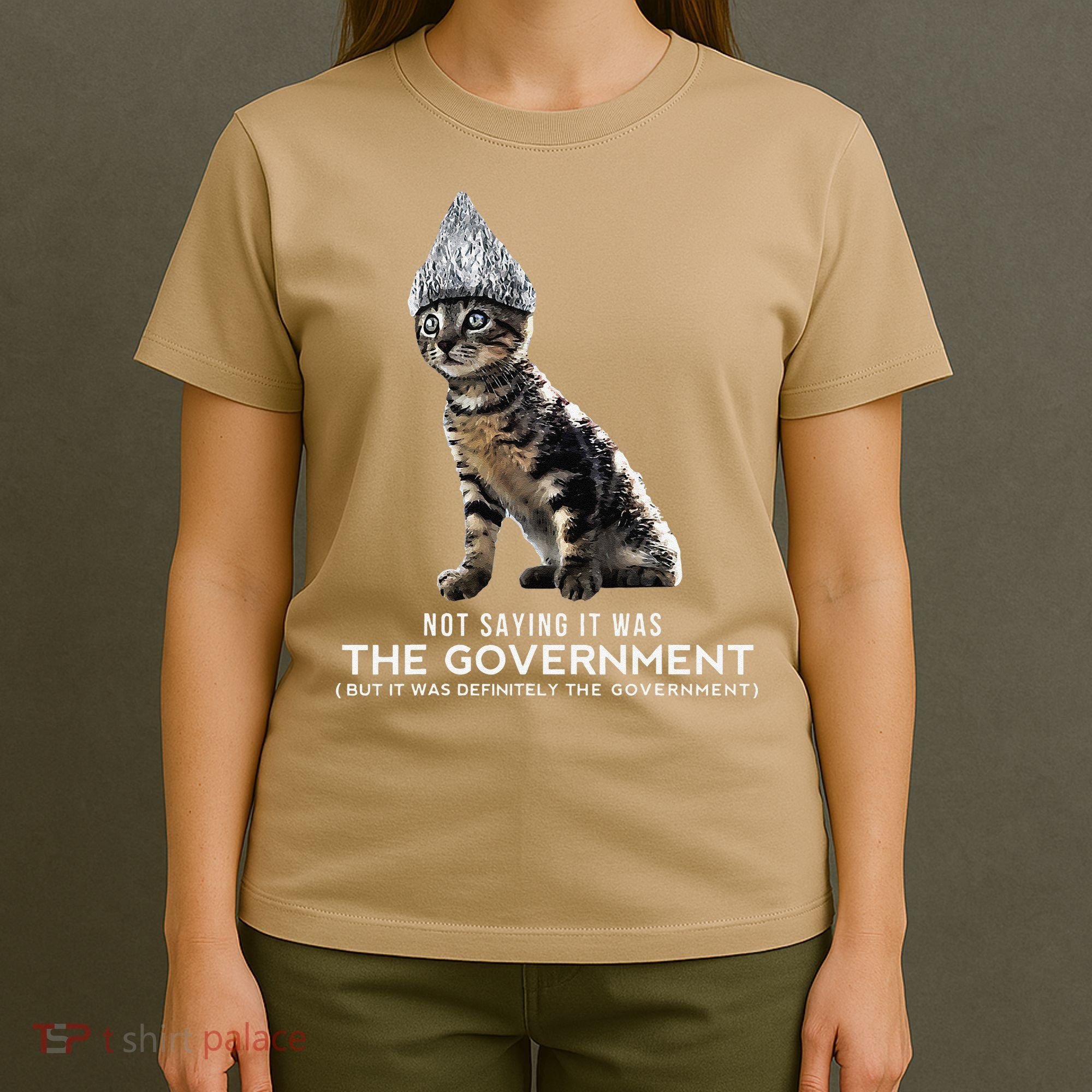 Funny Conspiracy Cat Tin Foil Hat Government Gift T-Shirt