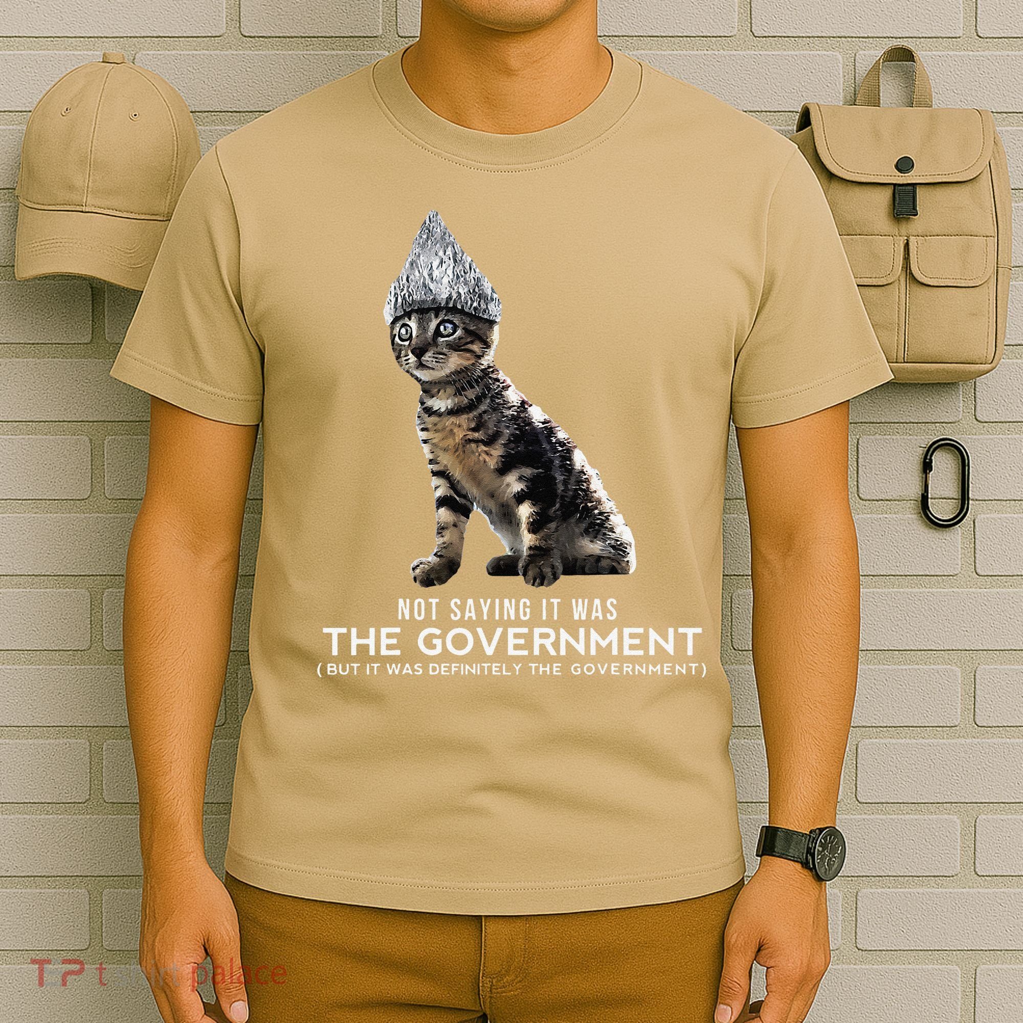 Funny Conspiracy Cat Tin Foil Hat Government Gift T-Shirt
