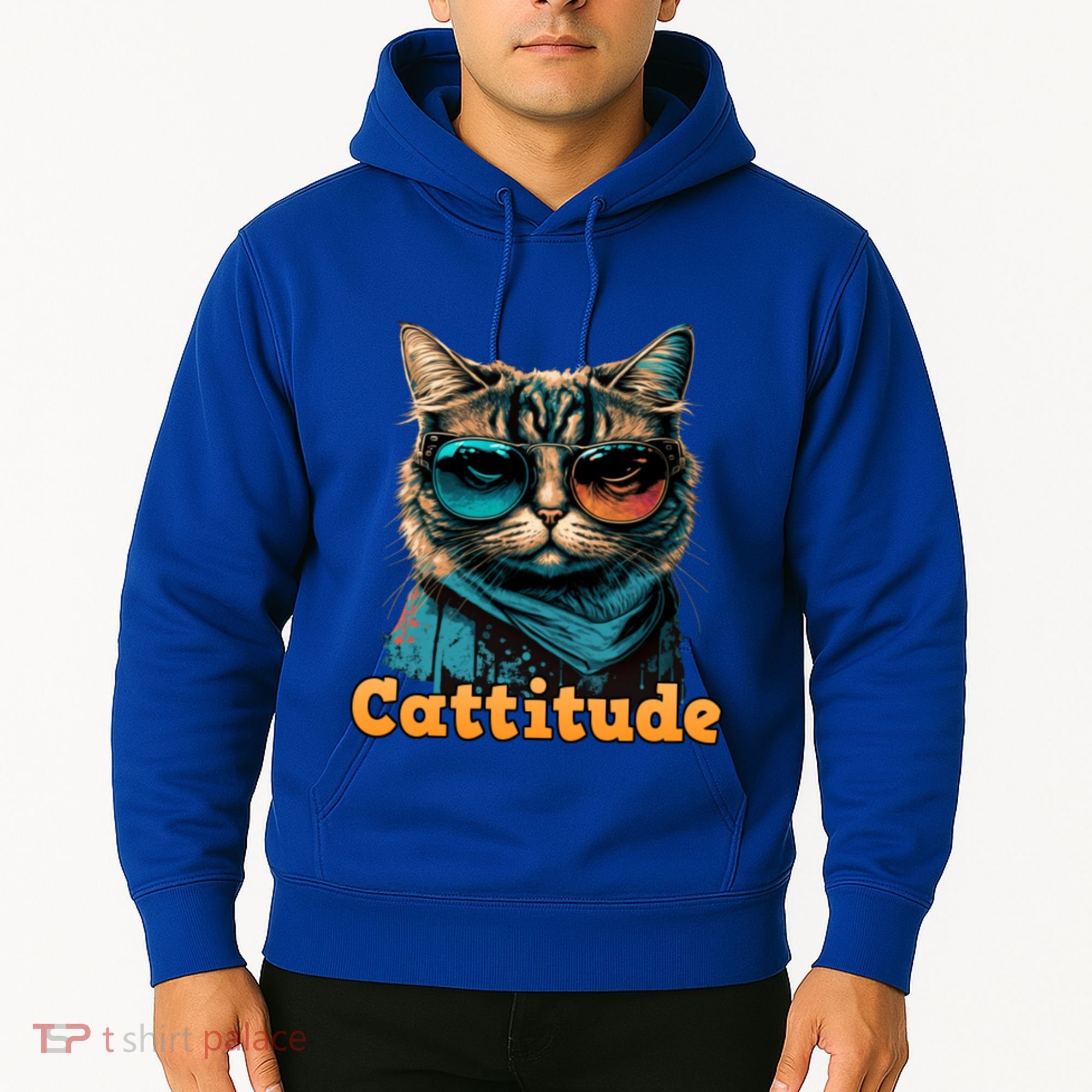 Funny Cool Cat With Glasses Cattitude Cats Lover Attitude Funny Gift Hoodie