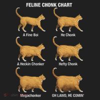 Feline Chonk Cat Chart Funny Cat Meme Oh Lawd He Comin Hat thumb 2