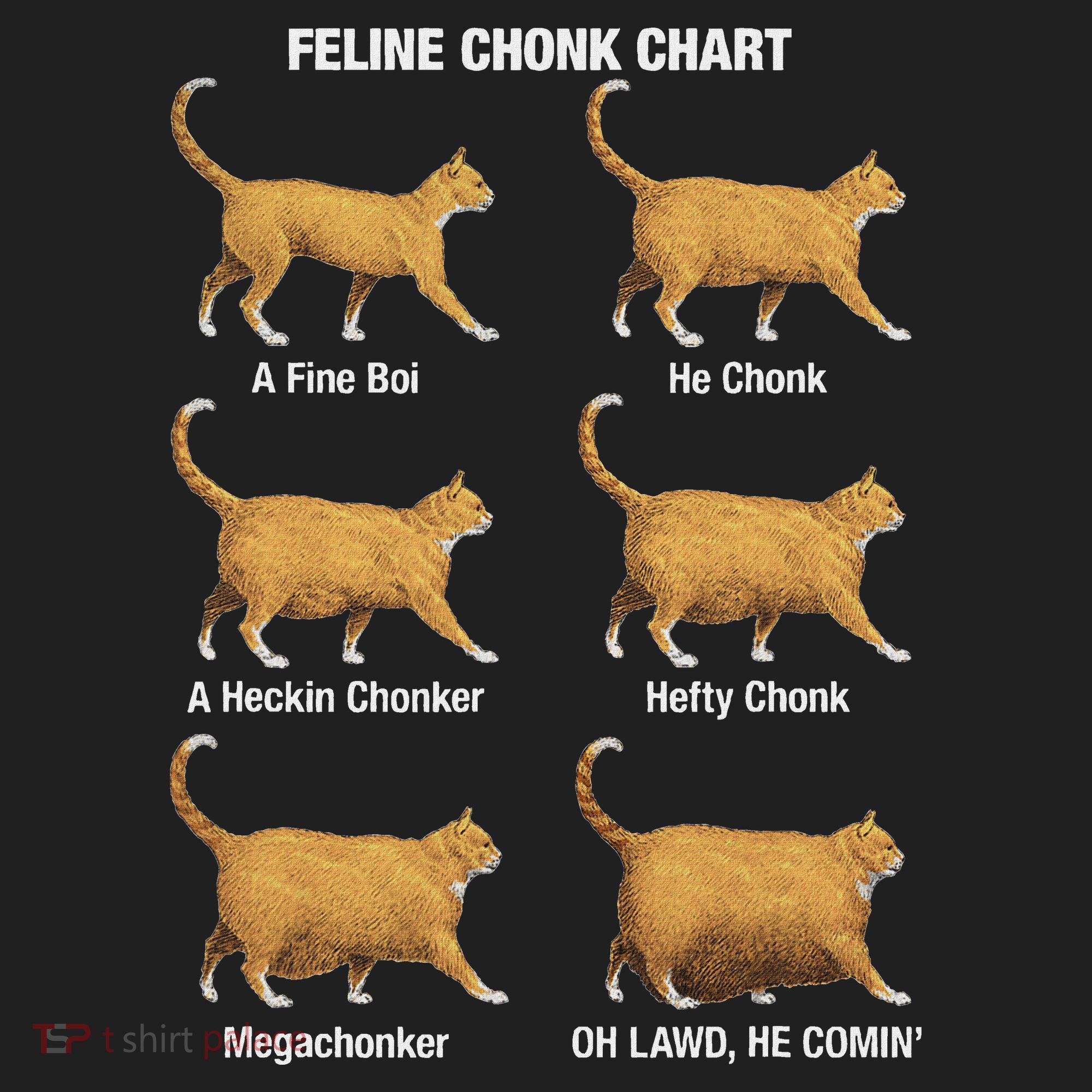 Feline Chonk Cat Chart Funny Cat Meme Oh Lawd He Comin Hat