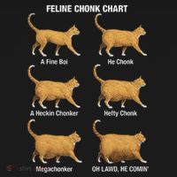 Feline Chonk Cat Chart Funny Cat Meme Oh Lawd He Comin Toddler T-Shirt thumb 4