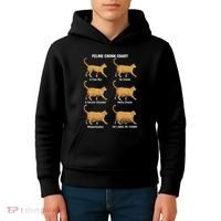 Feline Chonk Cat Chart Funny Cat Meme Oh Lawd He Comin Kids Hoodie thumb 4