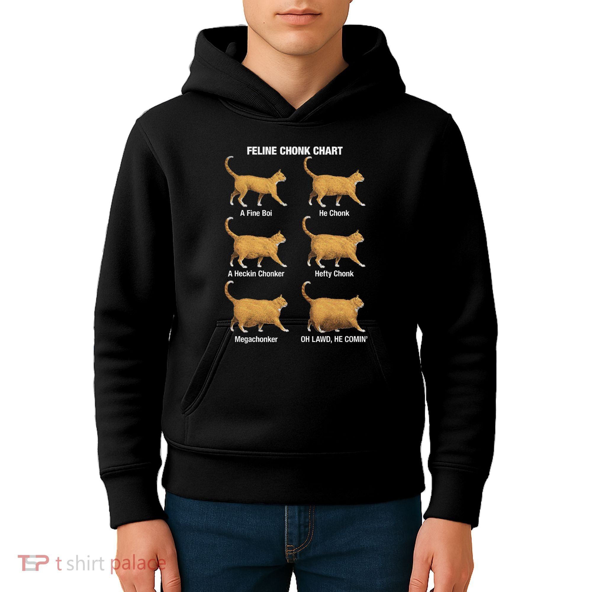 Feline Chonk Cat Chart Funny Cat Meme Oh Lawd He Comin Kids Hoodie