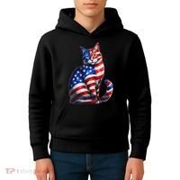 Funny Cute Cat Green Eyes Cat USA Flag 4th Of July Kids Hoodie thumb 4