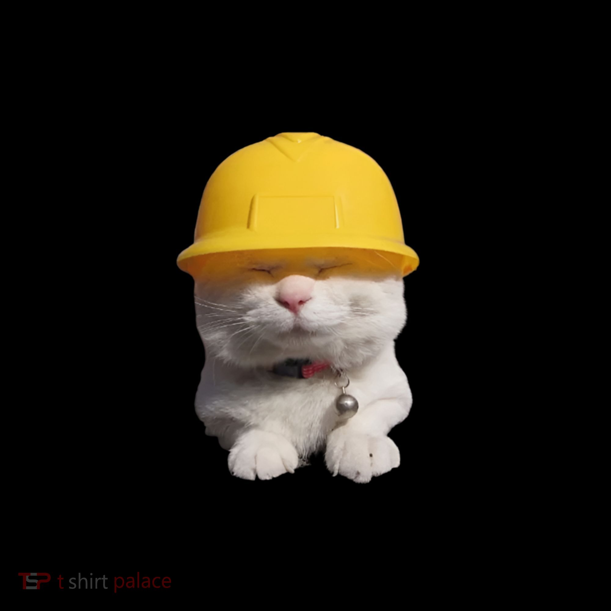 Forklift Certified Cat Coaster
