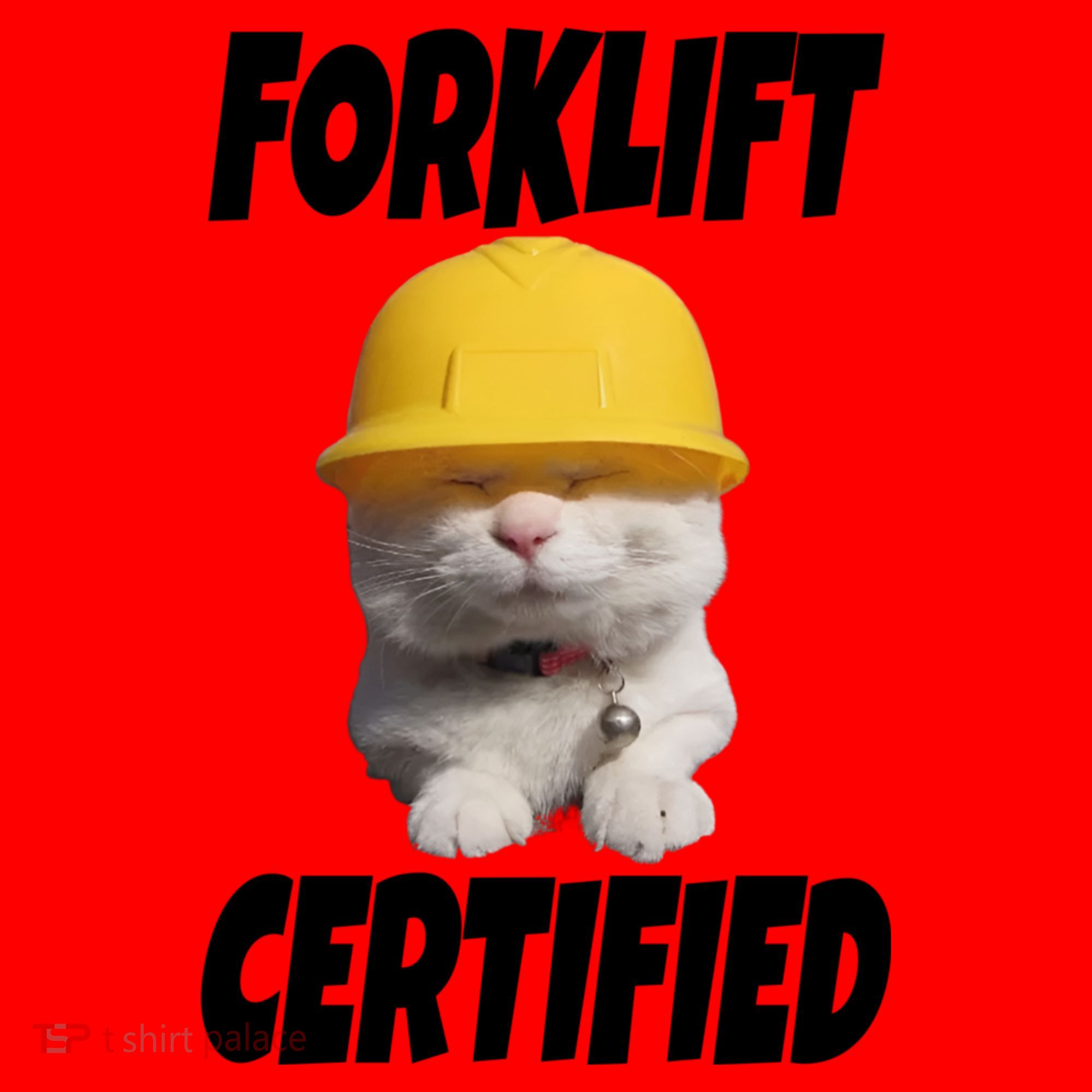 Forklift Certified Cat Santa Hat