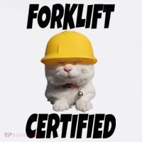 Forklift Certified Cat Ornament thumb 1