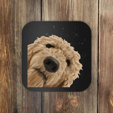 Coaster