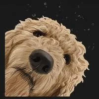 Funny Curious Dog Labradoodle Women's Tank Top thumb 5